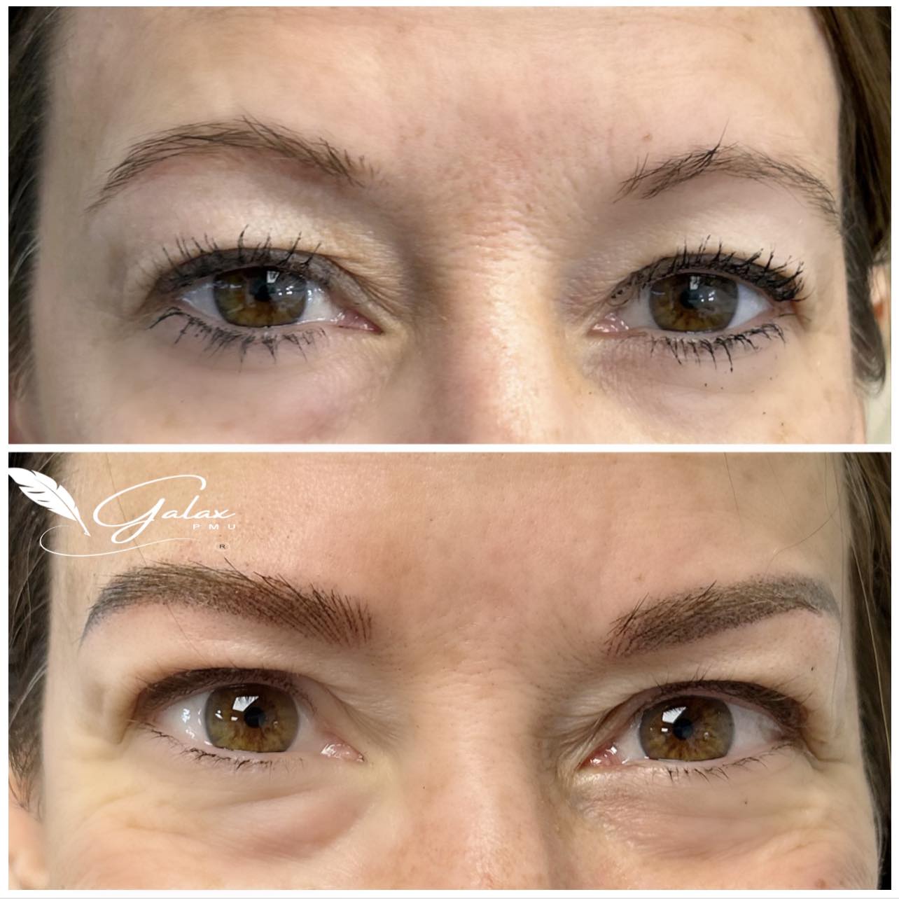 480801355_626543160134924_2125156850769366039_n