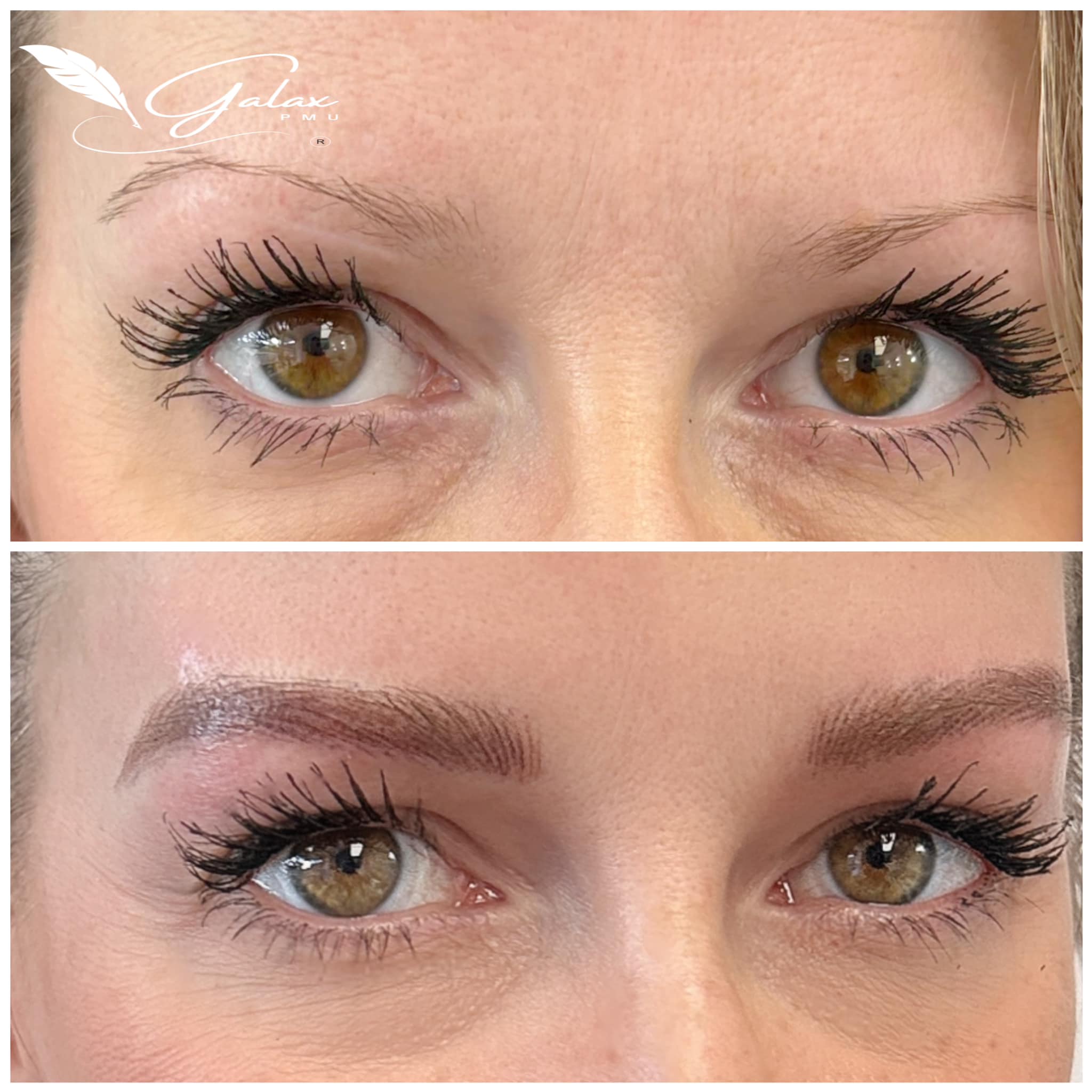 486098443_647121671410406_1763583234901428398_n