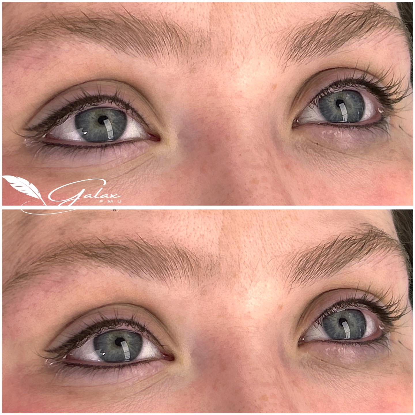 487676633_655035510619022_969434061733124497_n